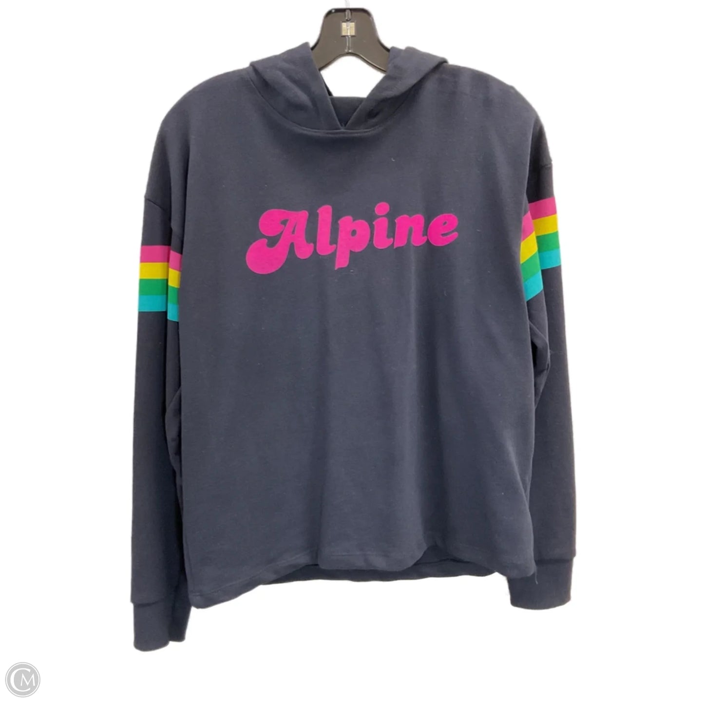 Sweatshirt Hoodie By Anthropologie In Black, Size: S