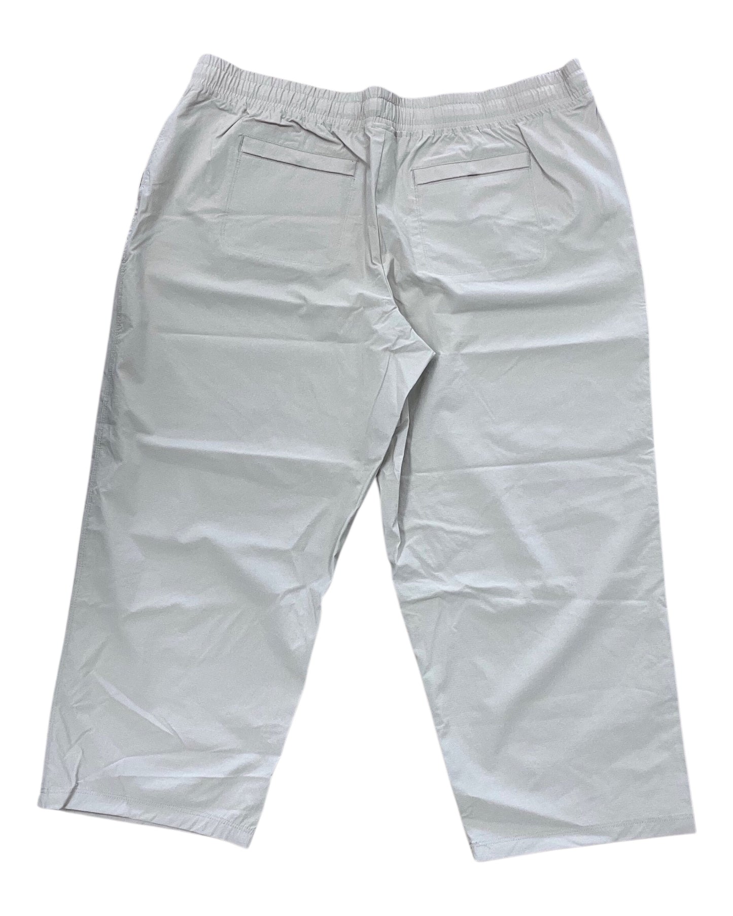 Pants Cargo & Utility By Zero Xposure In Beige, Size:1X