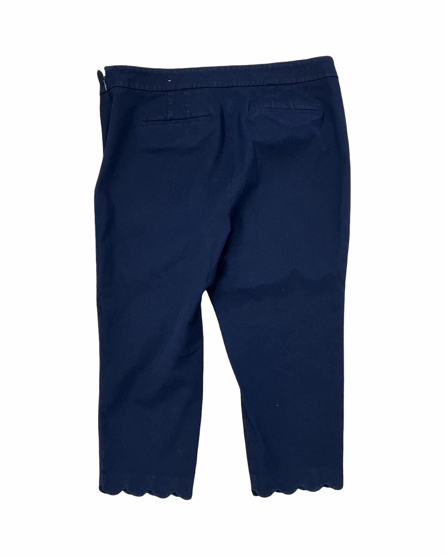 Pants Cropped By Talbots In Navy, Size:12P