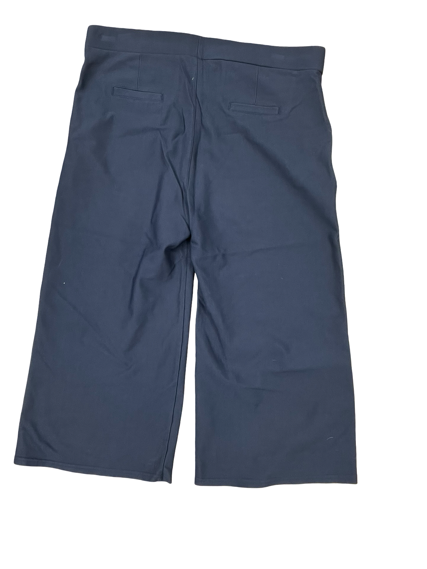 Pants Cropped By Clothes Mentor In Blue, Size:2X