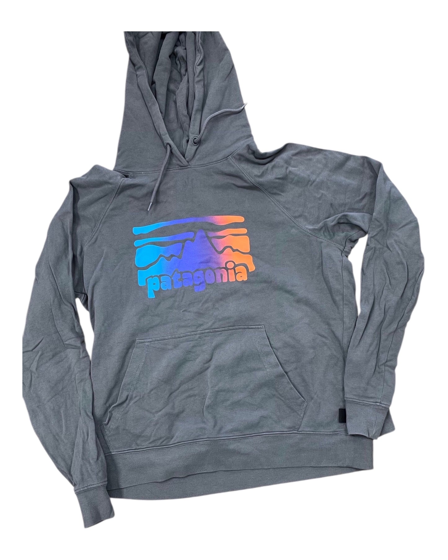 Sweatshirt Hoodie By Patagonia In Grey, Size:L