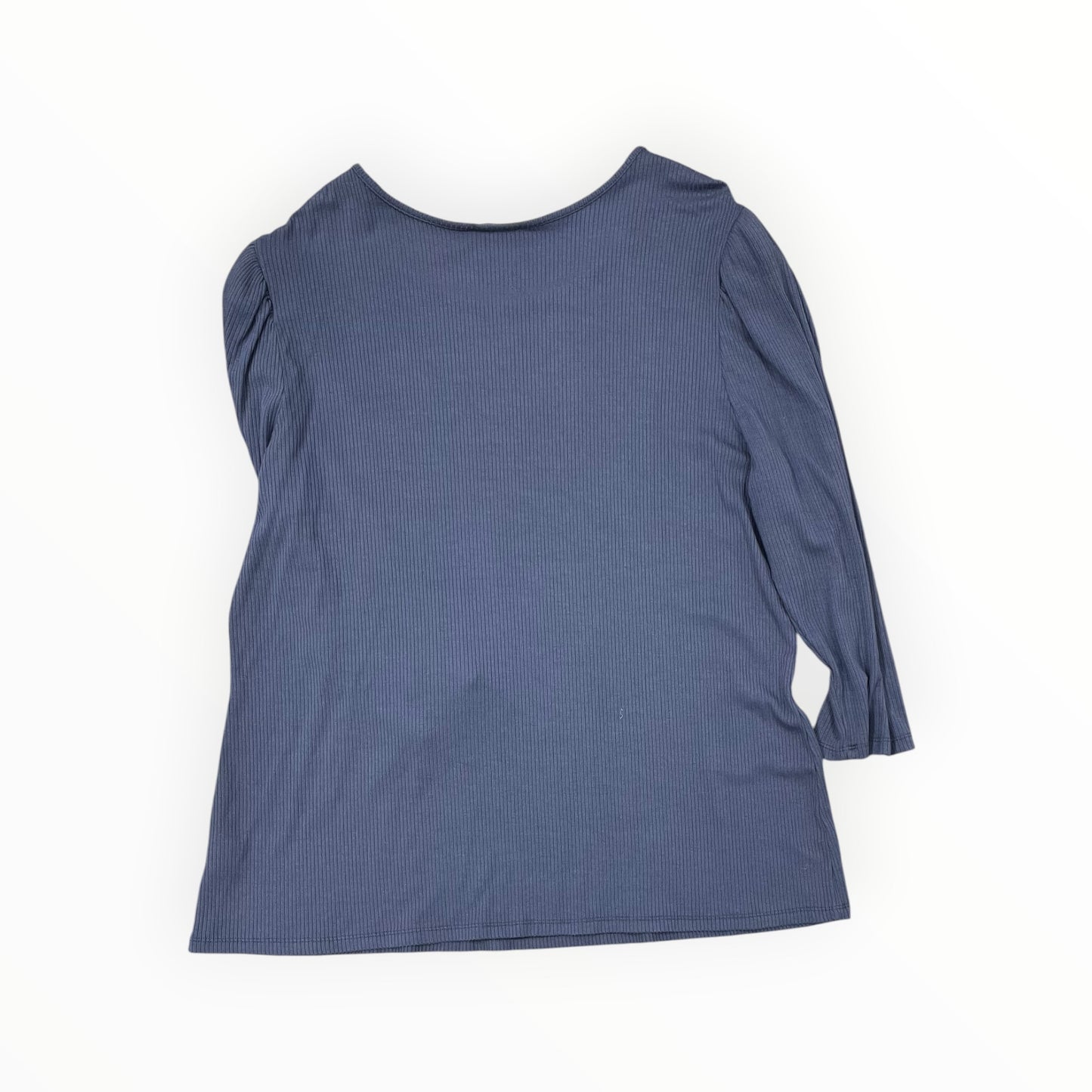 Top 3/4 Sleeve By Time And Tru In Blue, Size:2X