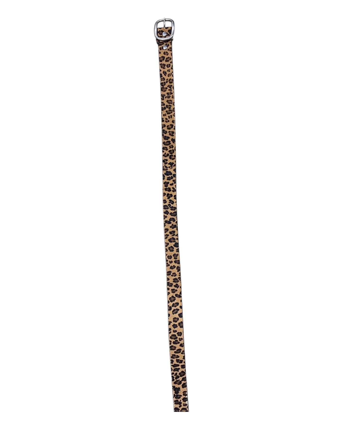 Belt By Clothes Mentor In Animal Print