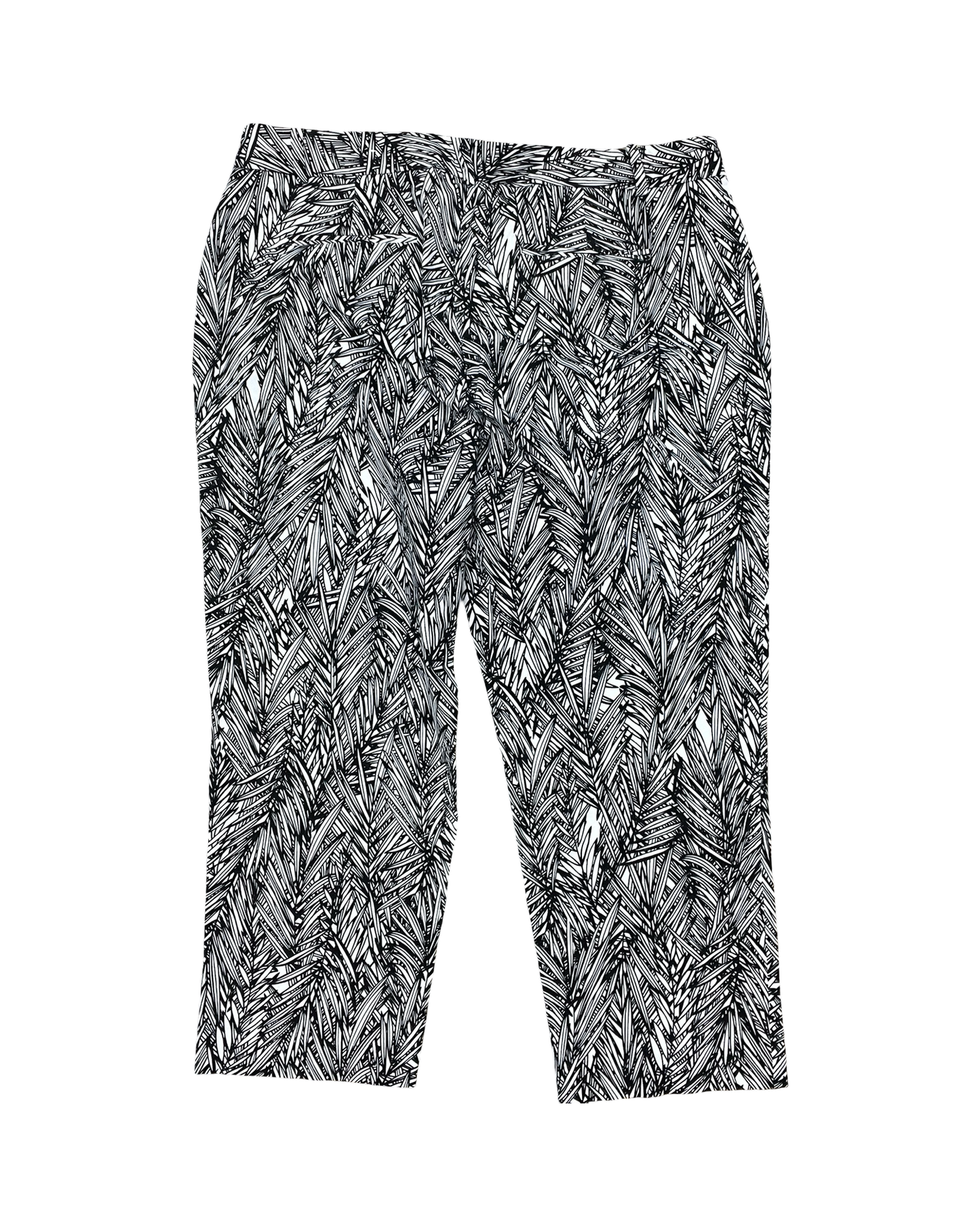 Pants Cropped By Coldwater Creek In Black & White, Size:16