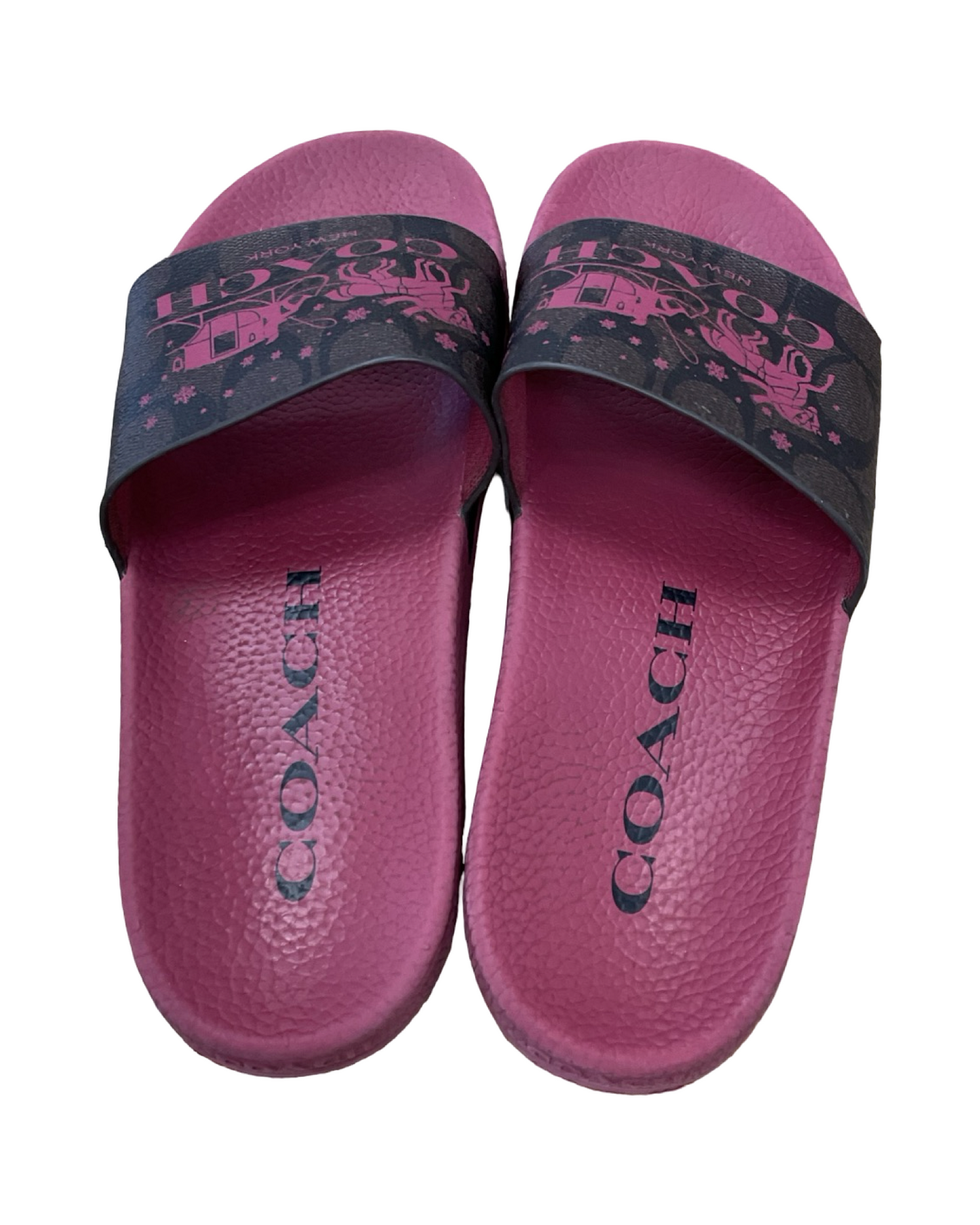 Sandals Designer By Coach In Mauve, Size:7