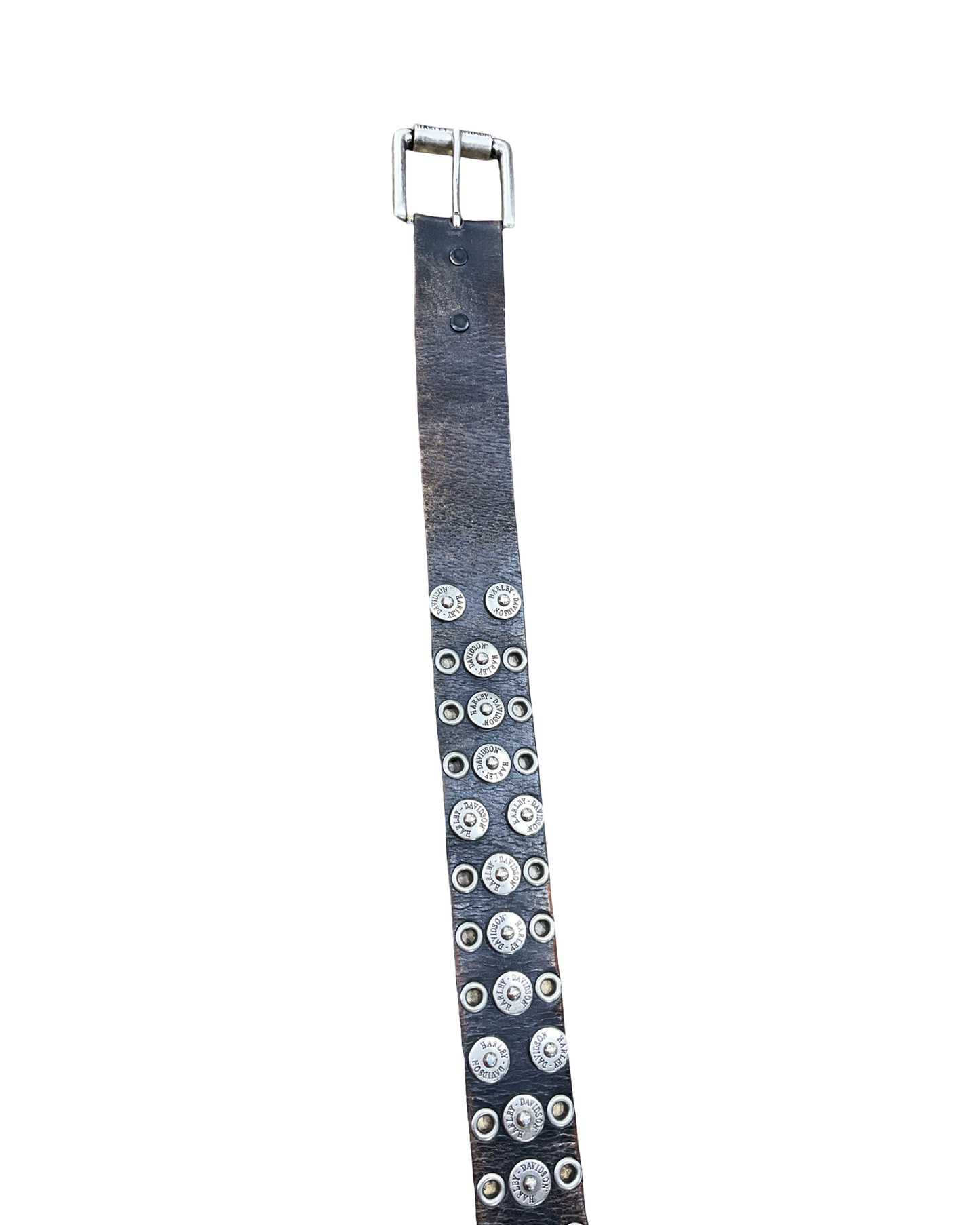 Belt By Harley Davidson In Silver