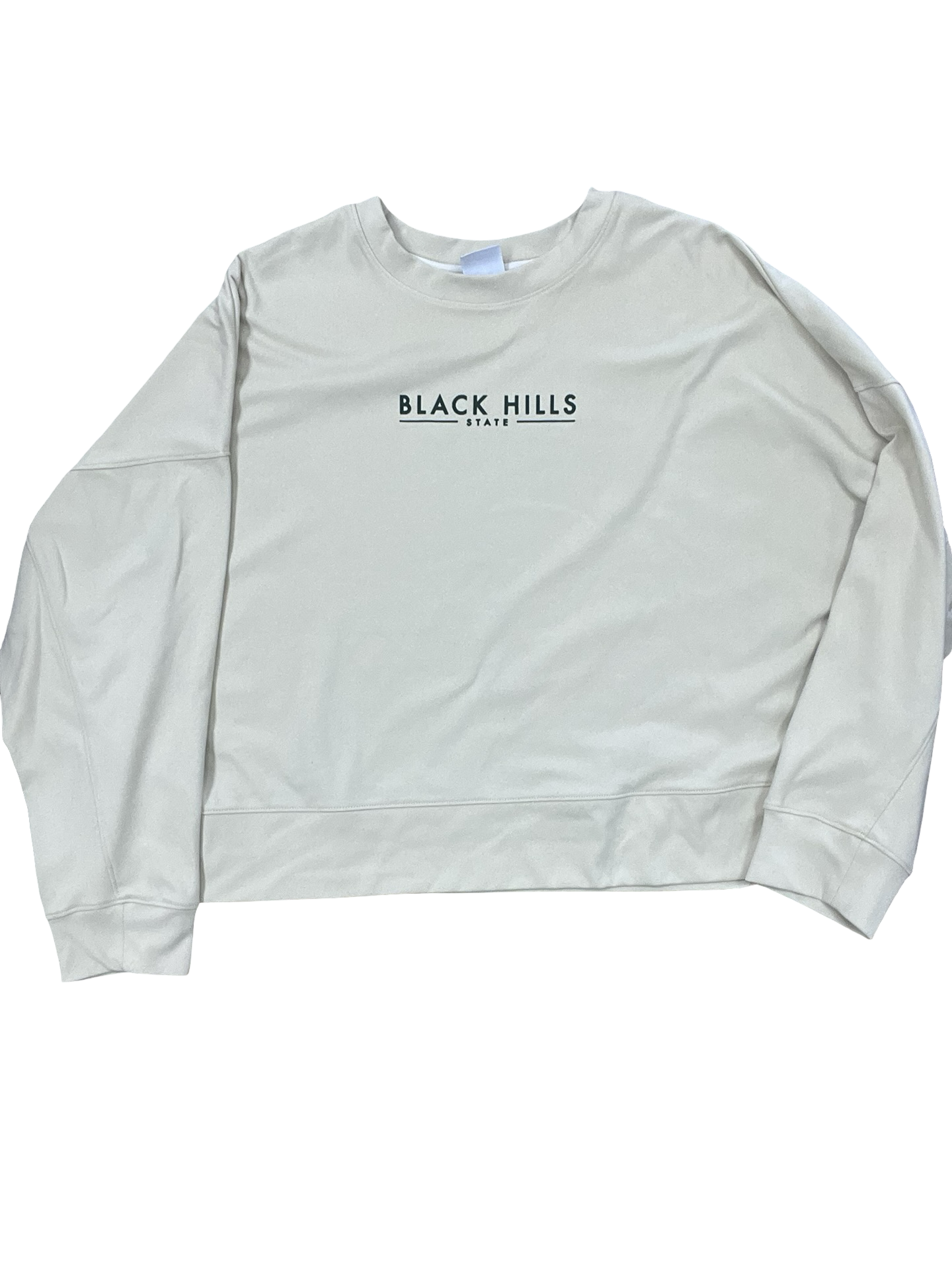 Sweatshirt Crewneck By Champion In Tan, Size:2X