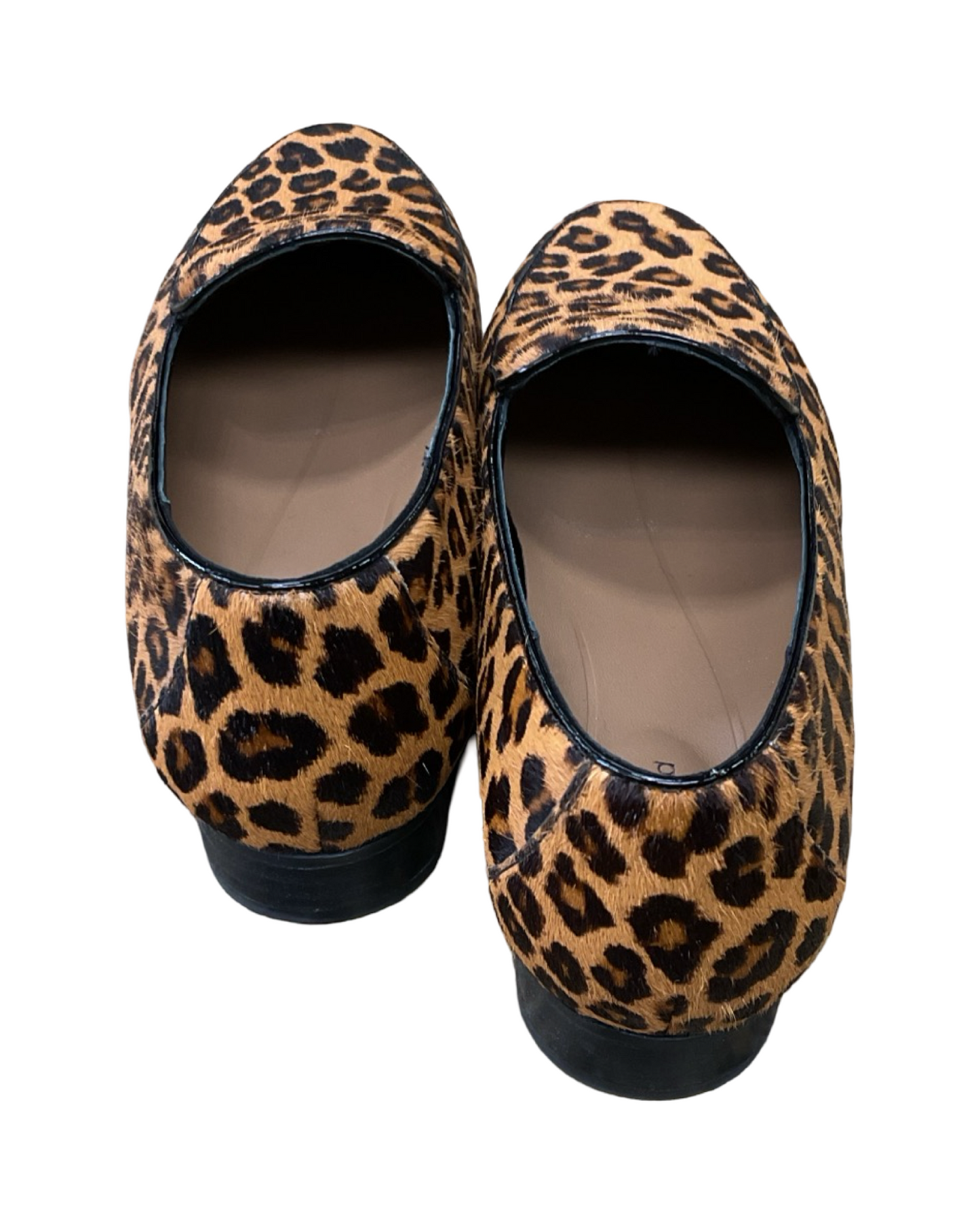 Shoes Flats By Clarks In Animal Print, Size:8.5