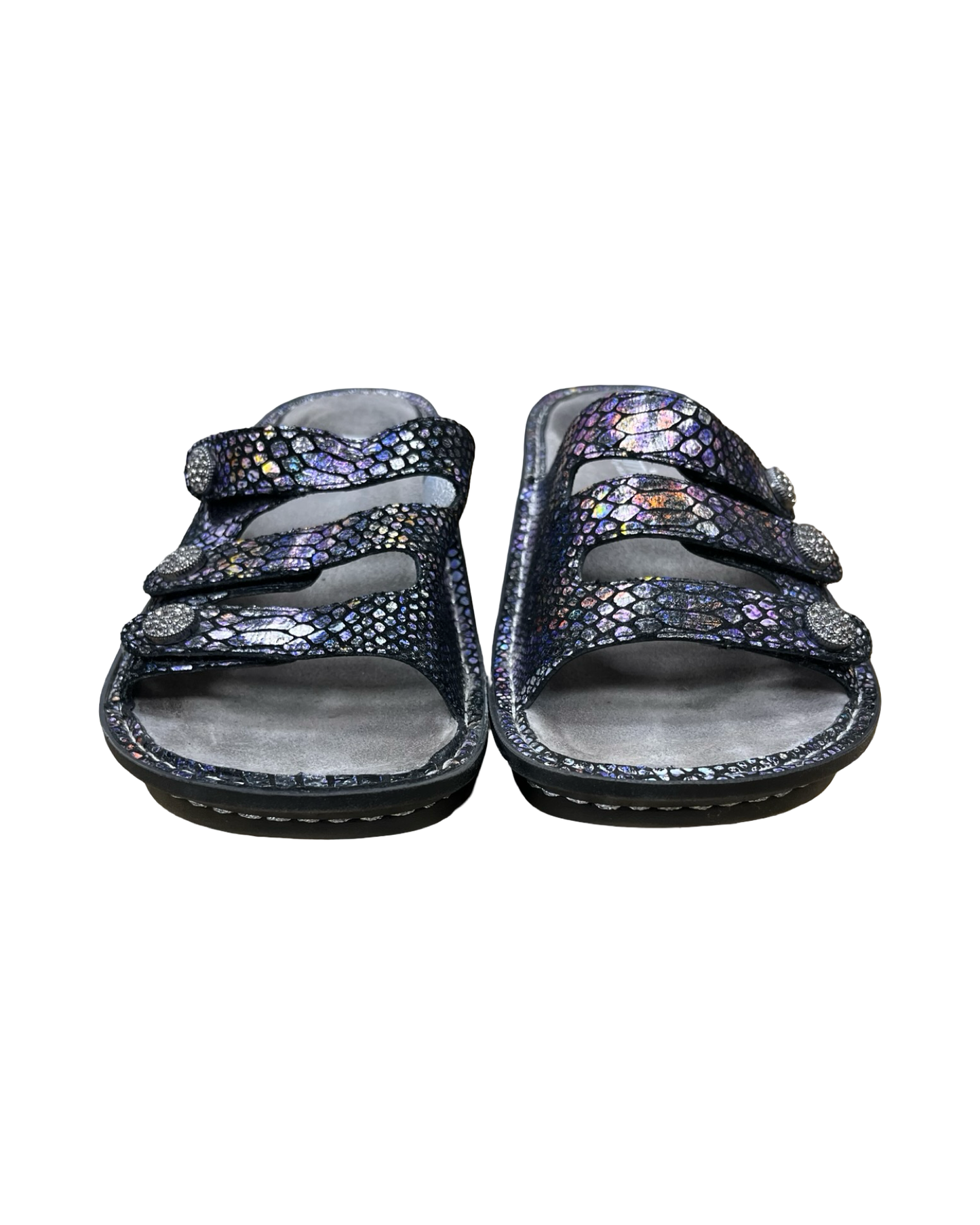 Sandals Flats By Alegria In Multi, Size:8.5