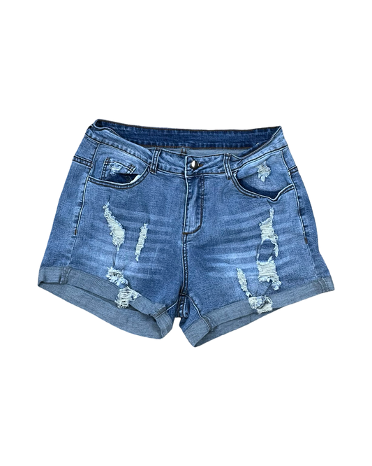 Shorts By Clothes Mentor In Blue Denim, Size:14