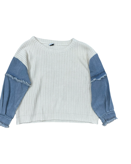 Sweater By Clothes Mentor In Blue & White, Size:L